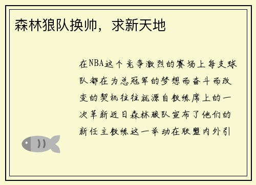 森林狼队换帅，求新天地