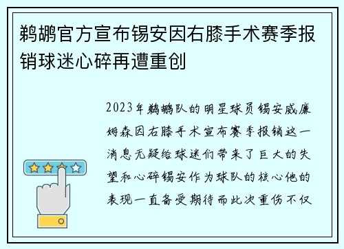 鹈鹕官方宣布锡安因右膝手术赛季报销球迷心碎再遭重创